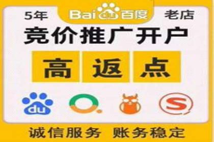 竞价代运营成功案例解析